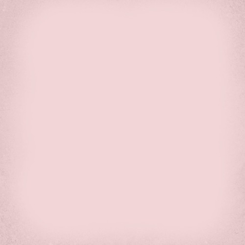 1900 Rosa 20x20
