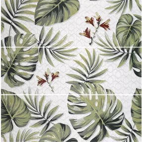   APE CLICK DECOR SET(3db) EXOTICA 40X120 - trópusi mintás dekorcsempe