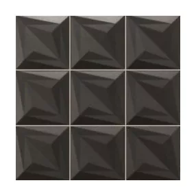 Delta Negro