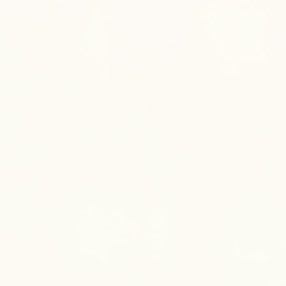 Vives Alameda-R Nacar 20x20